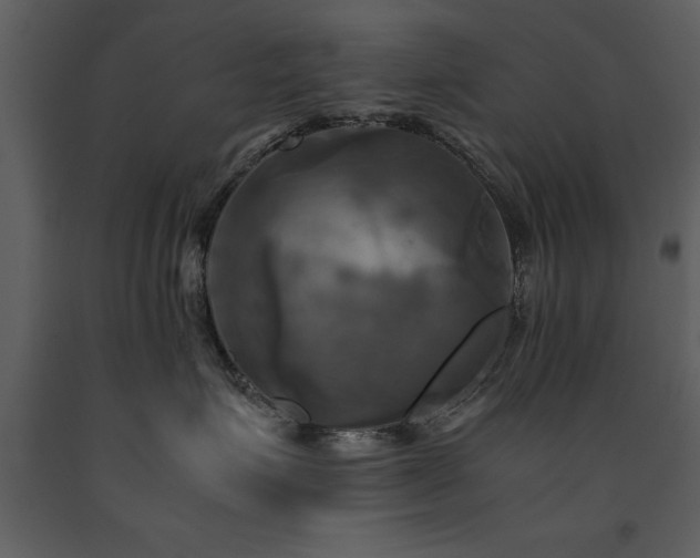 X0000091710623200708241248