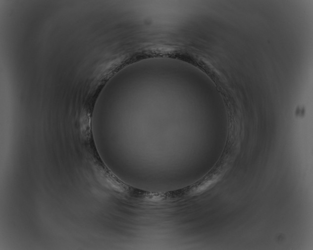 X0000091710624200708241248