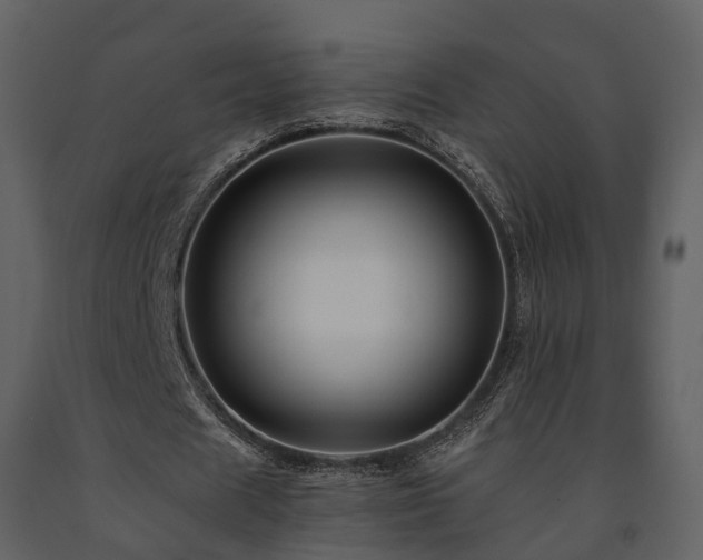 X0000091710625200708241247