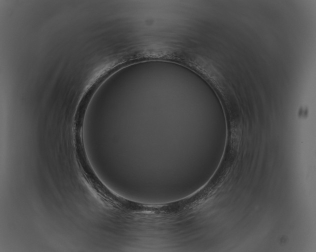 X0000091710626200708241247