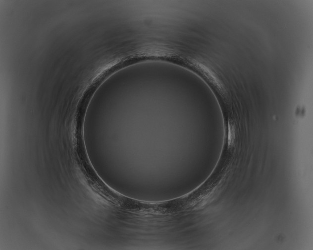 X0000091710627200708241248