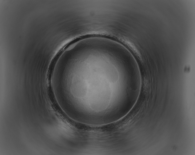 X0000091710628200708241248