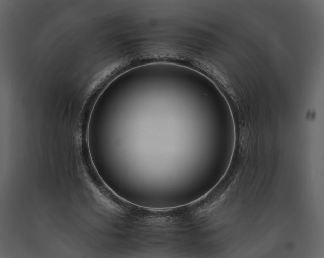 X0000091710629200708241248