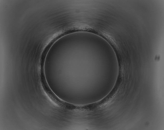 X0000091710630200708241248