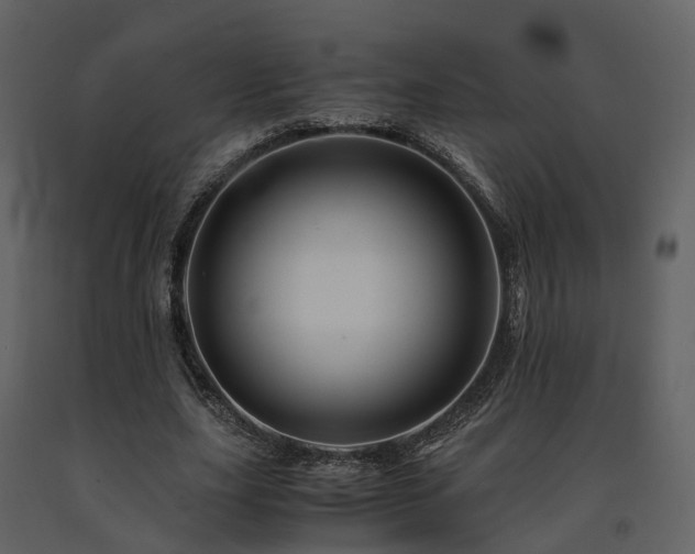 X0000091710631200708241248