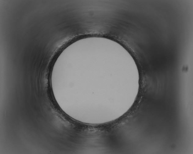 X0000091710632200708241248