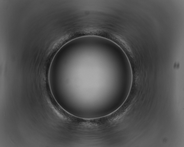 X0000091710633200708241248