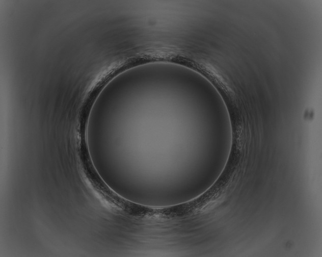 X0000091710634200708241248