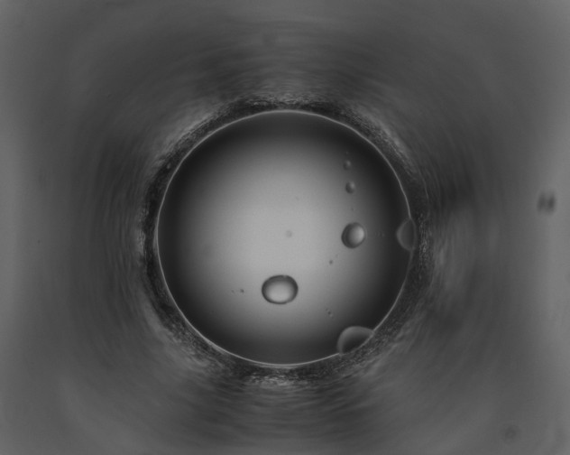 X0000091710635200708241248