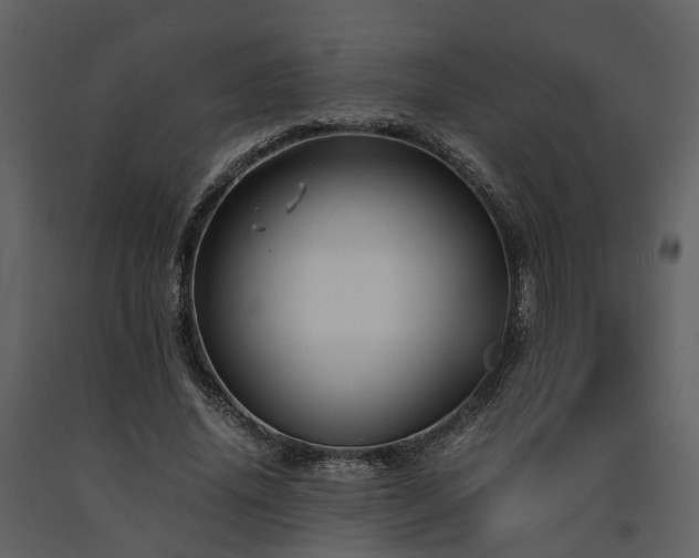 X0000091710636200708241248