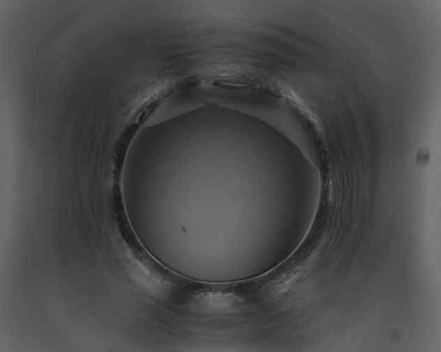 X0000091710637200708241248