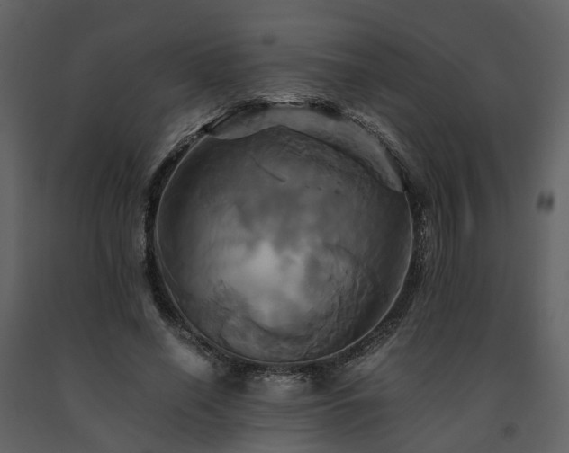 X0000091710638200708241248