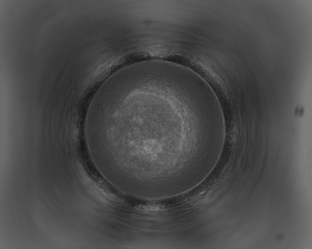 X0000091710639200708241248