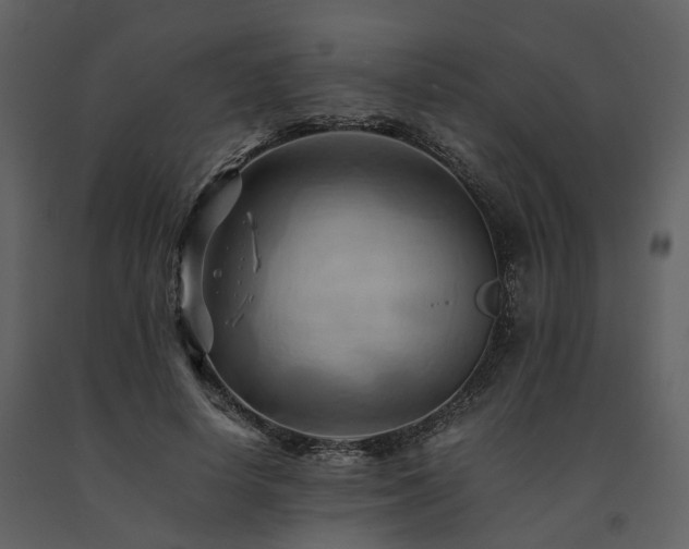 X0000091710642200708241248