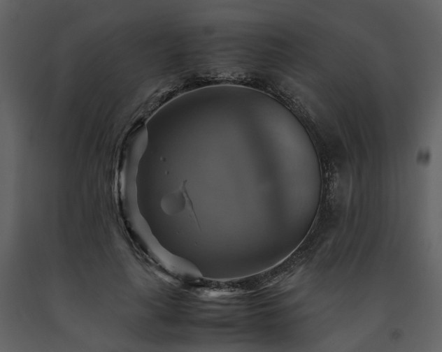 X0000091710643200708241248