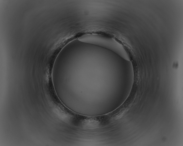 X0000091710644200708241248