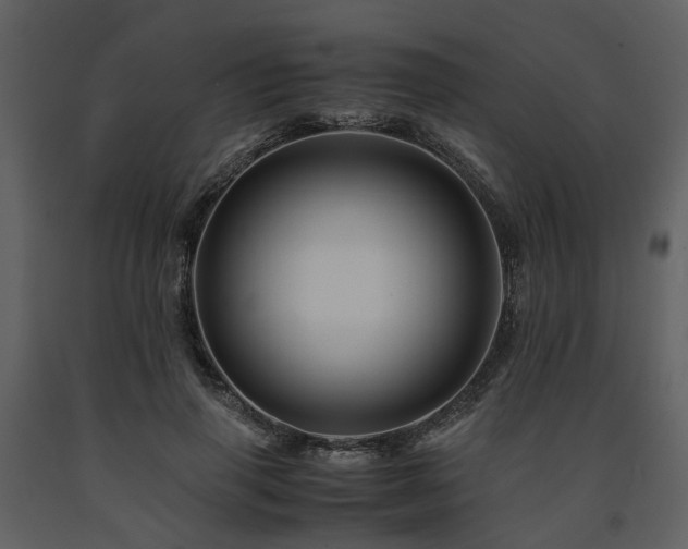 X0000091710645200708241248