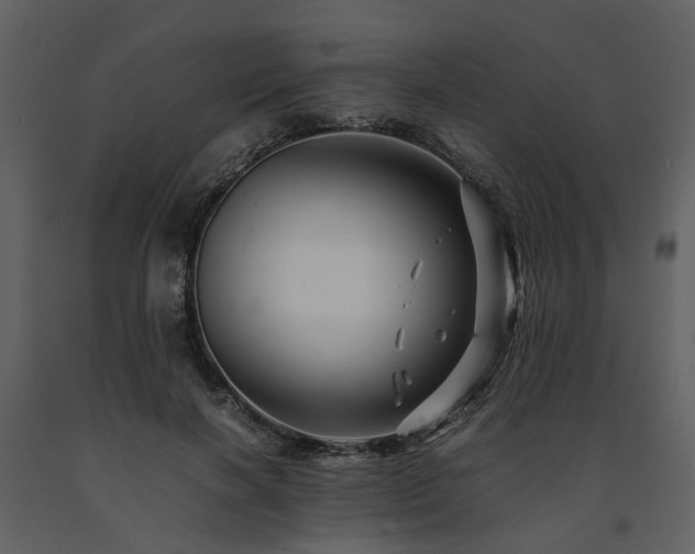 X0000091710646200708241248