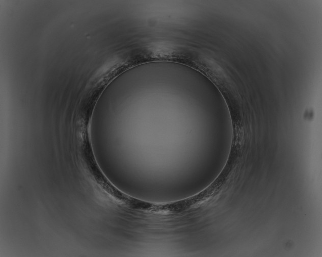 X0000091710648200708241248