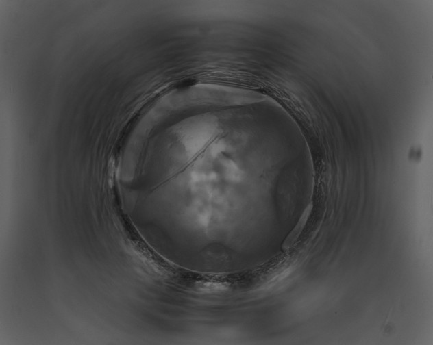 X0000091710649200708241248