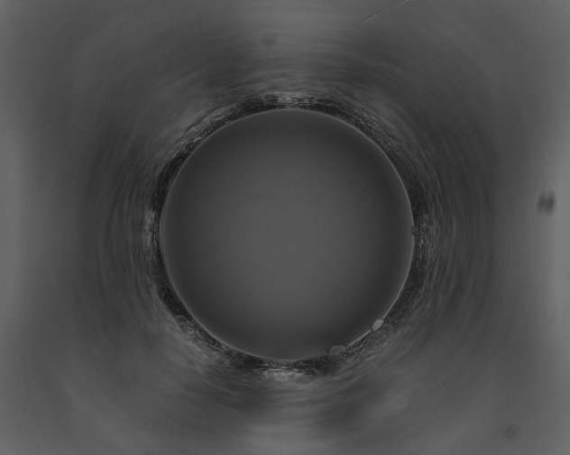 X0000091710650200708241248