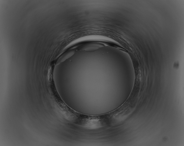 X0000091710651200708241248