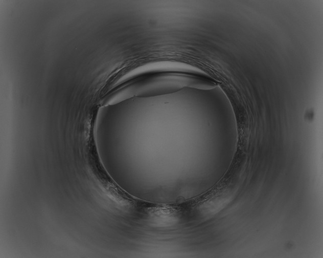 X0000091710652200708241248