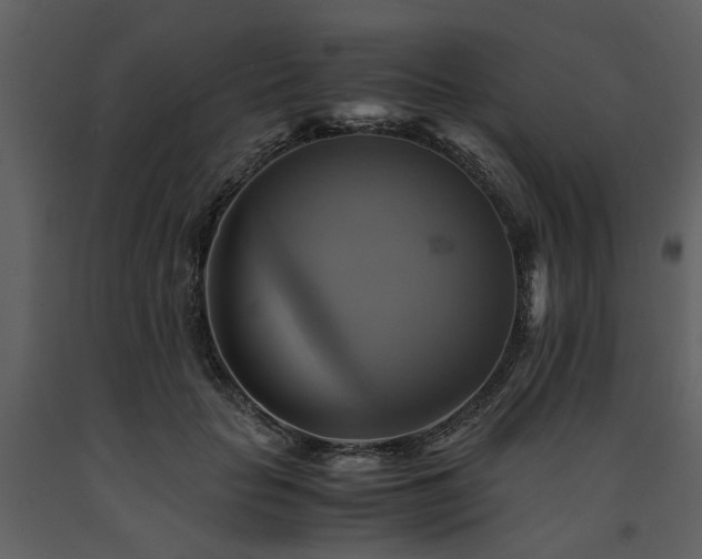 X0000091710653200708241248