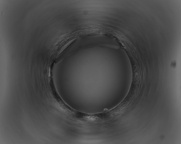 X0000091710654200708241248