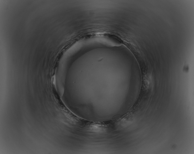 X0000091710657200708241248