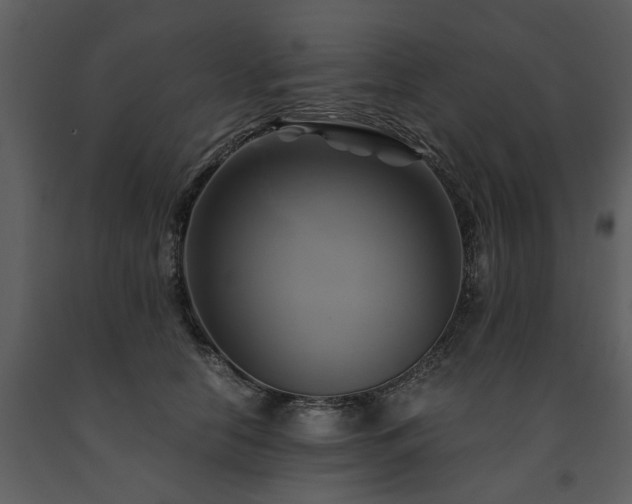 X0000091710658200708241248