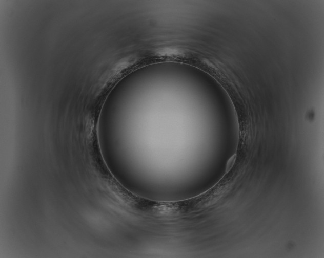 X0000091710660200708241248