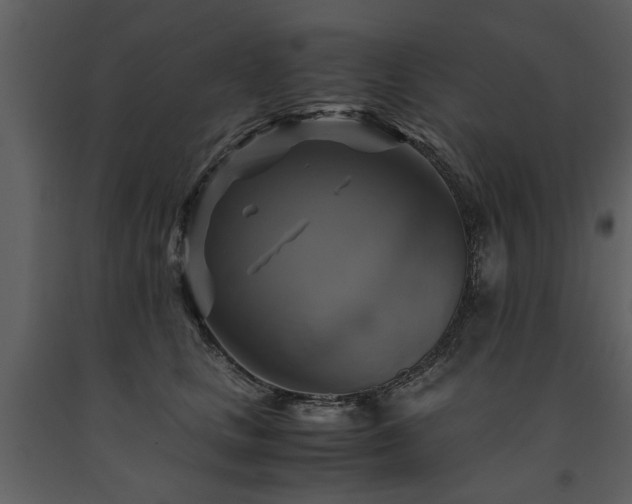 X0000091710661200708241248