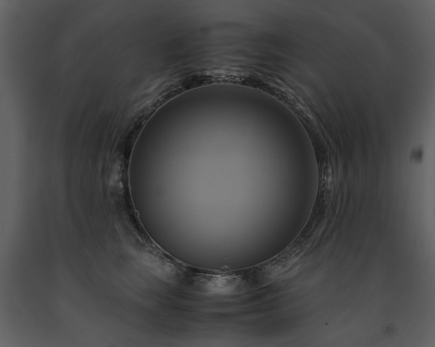 X0000091710663200708241248