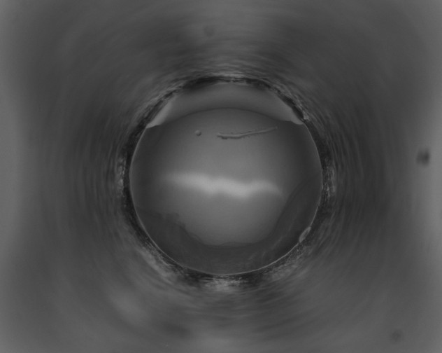 X0000091710664200708241248