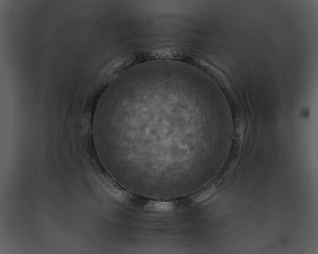 X0000091710665200708241248