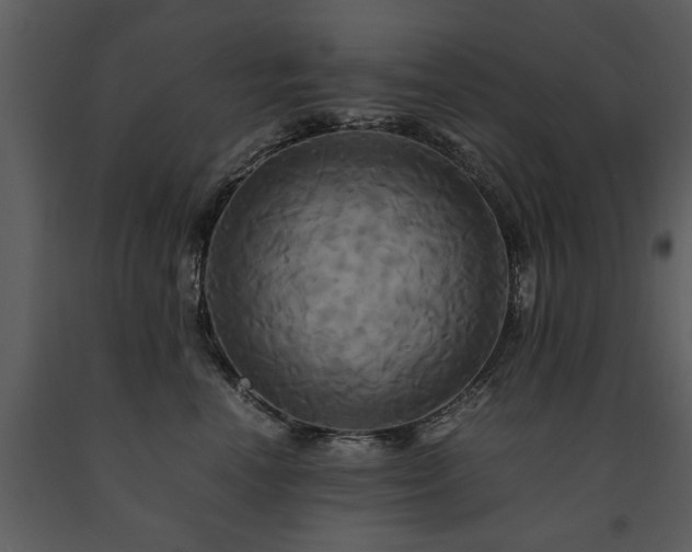 X0000091710666200708241248