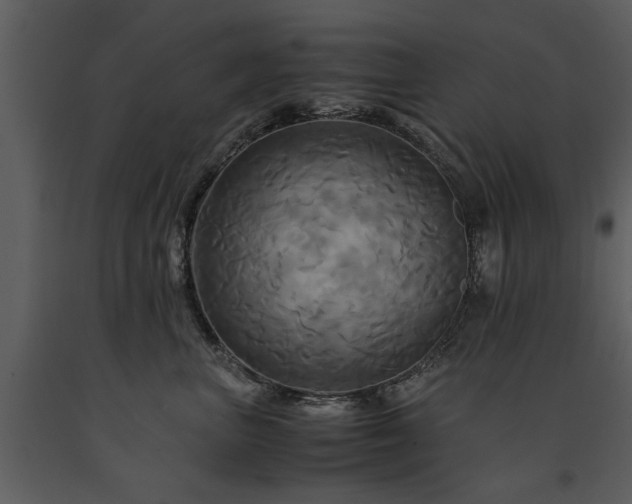 X0000091710667200708241248