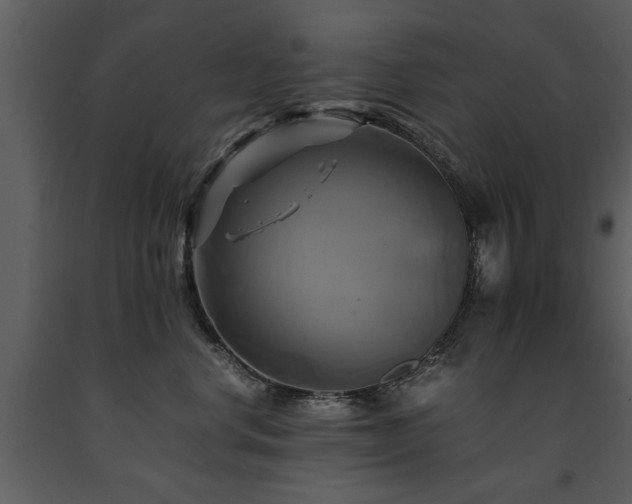 X0000091710668200708241248