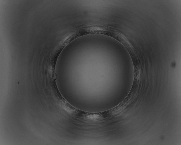 X0000091710669200708241248