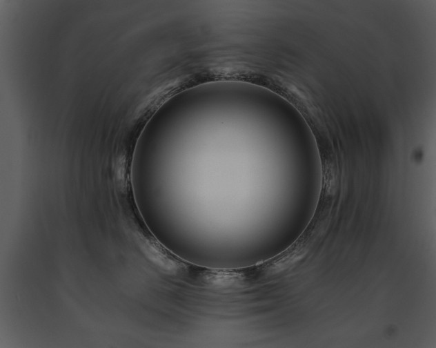 X0000091710670200708241248