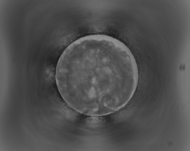 X0000091710672200708241248