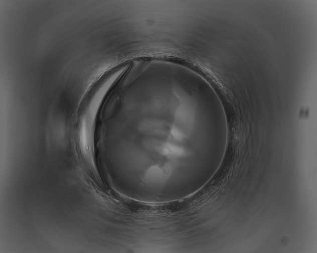 X0000091710679200708241247