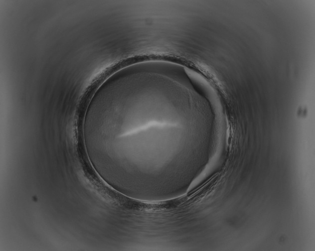 X0000091710680200708241247