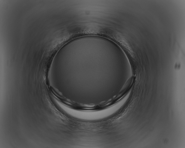 X0000091710681200708241247