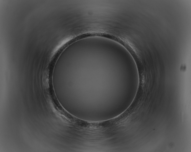 X0000091710684200708241247