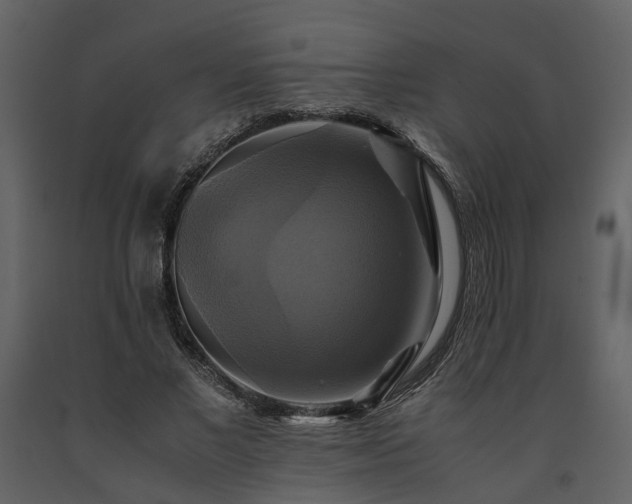 X0000091710685200708241247