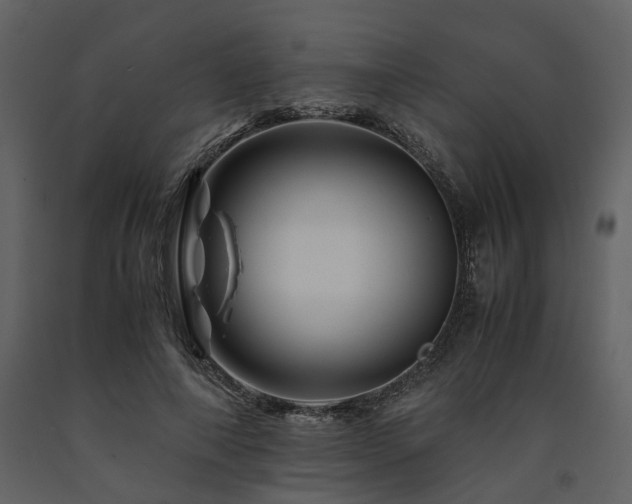 X0000091710690200708241247