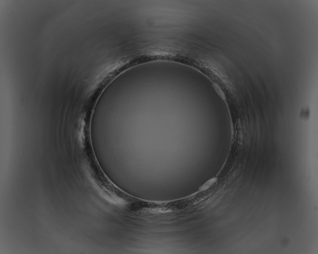 X0000091710692200708241247