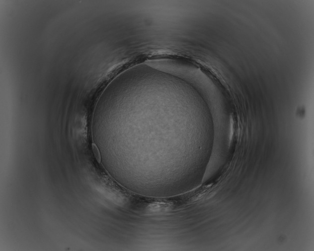 X0000091710700200708241247